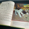 Big Book of Animal Stories 1946 Rosemary Smith Vintage Kids Childrens